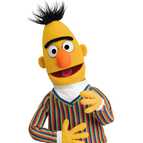 Bert from sesame street (not BERT the NLP)